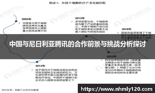 中国与尼日利亚腾讯的合作前景与挑战分析探讨
